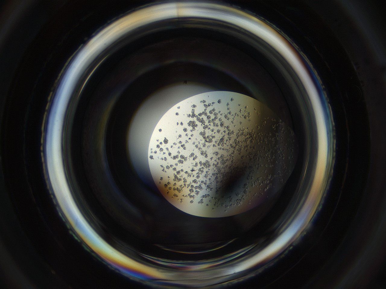 04s6_D1_ImagerDefaults_8.jpg