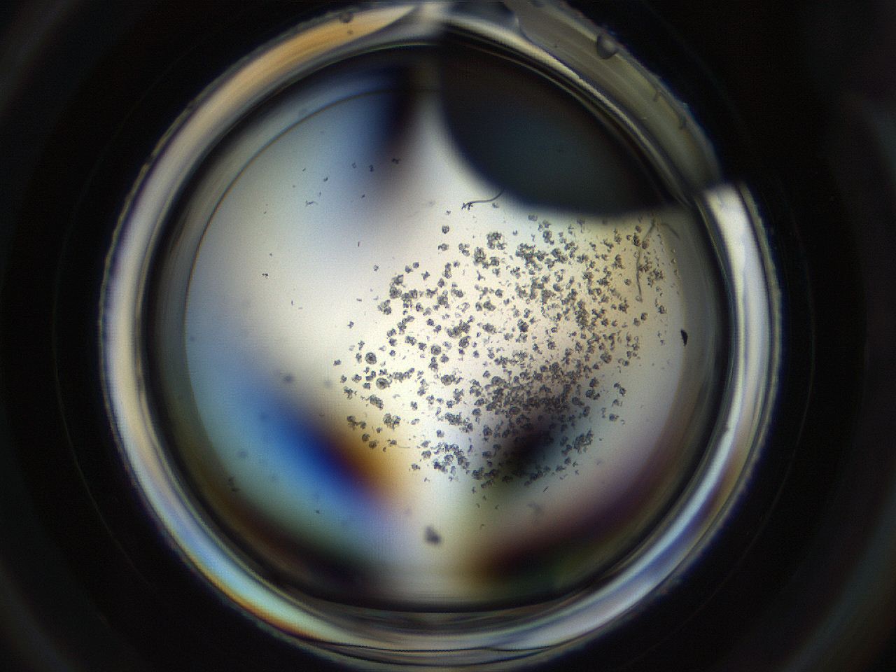 04s6_D2_ImagerDefaults_8.jpg