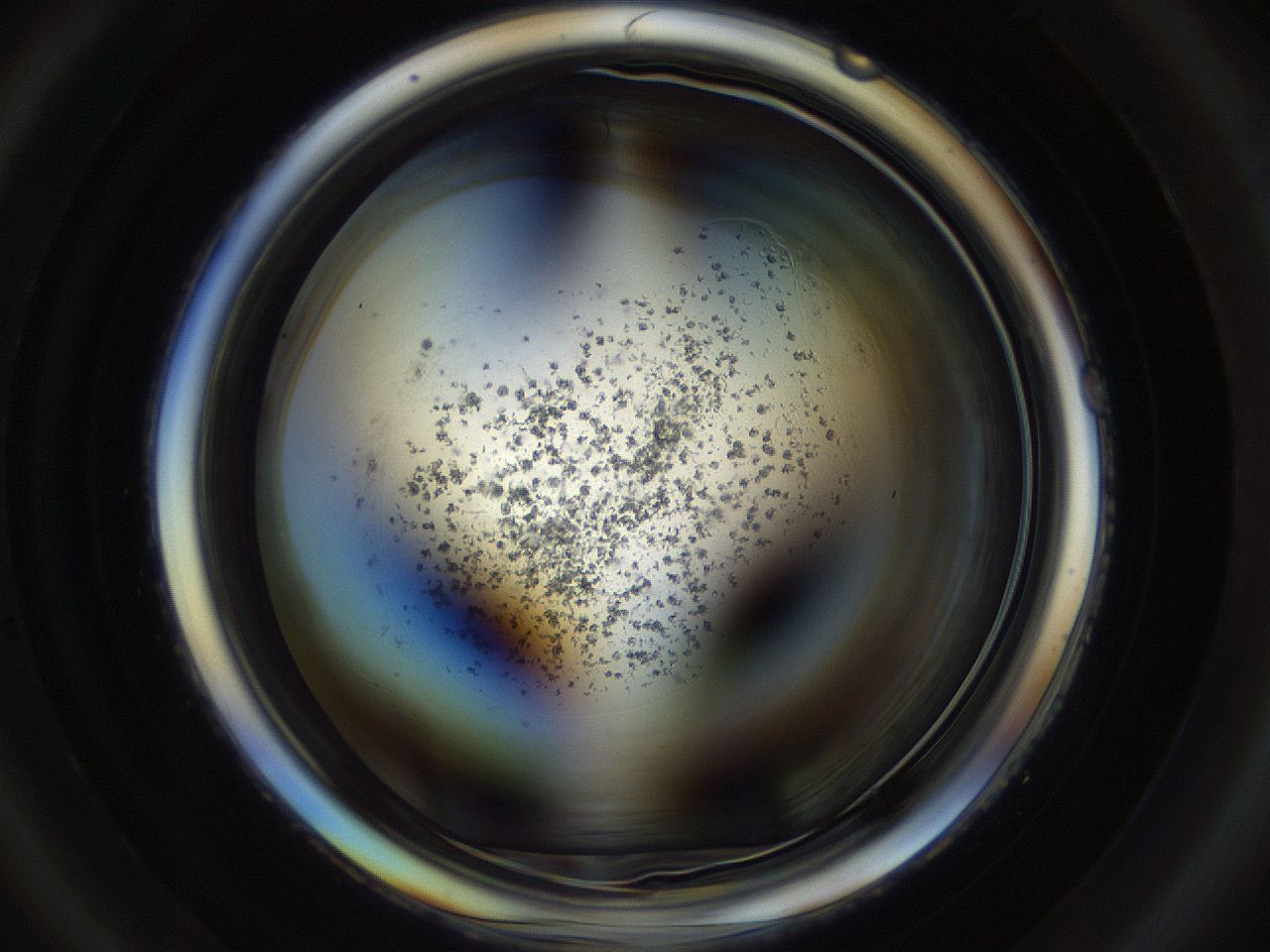 04s6_D4_ImagerDefaults_8.jpg