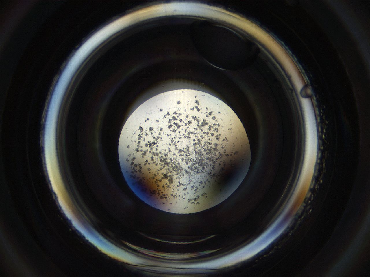 04s6_D3_ImagerDefaults_8.jpg