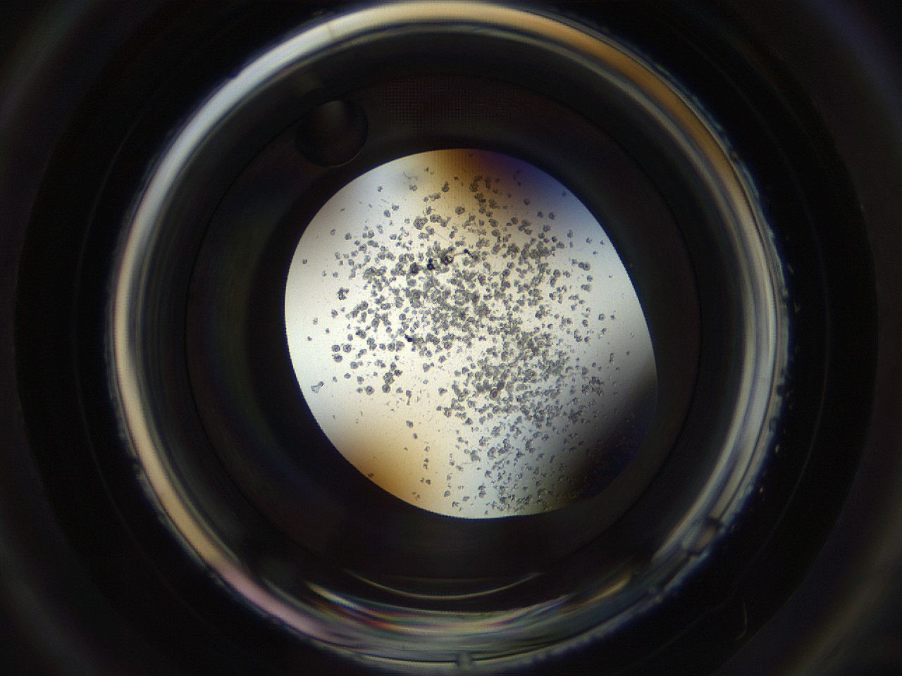 04s6_B3_ImagerDefaults_8.jpg