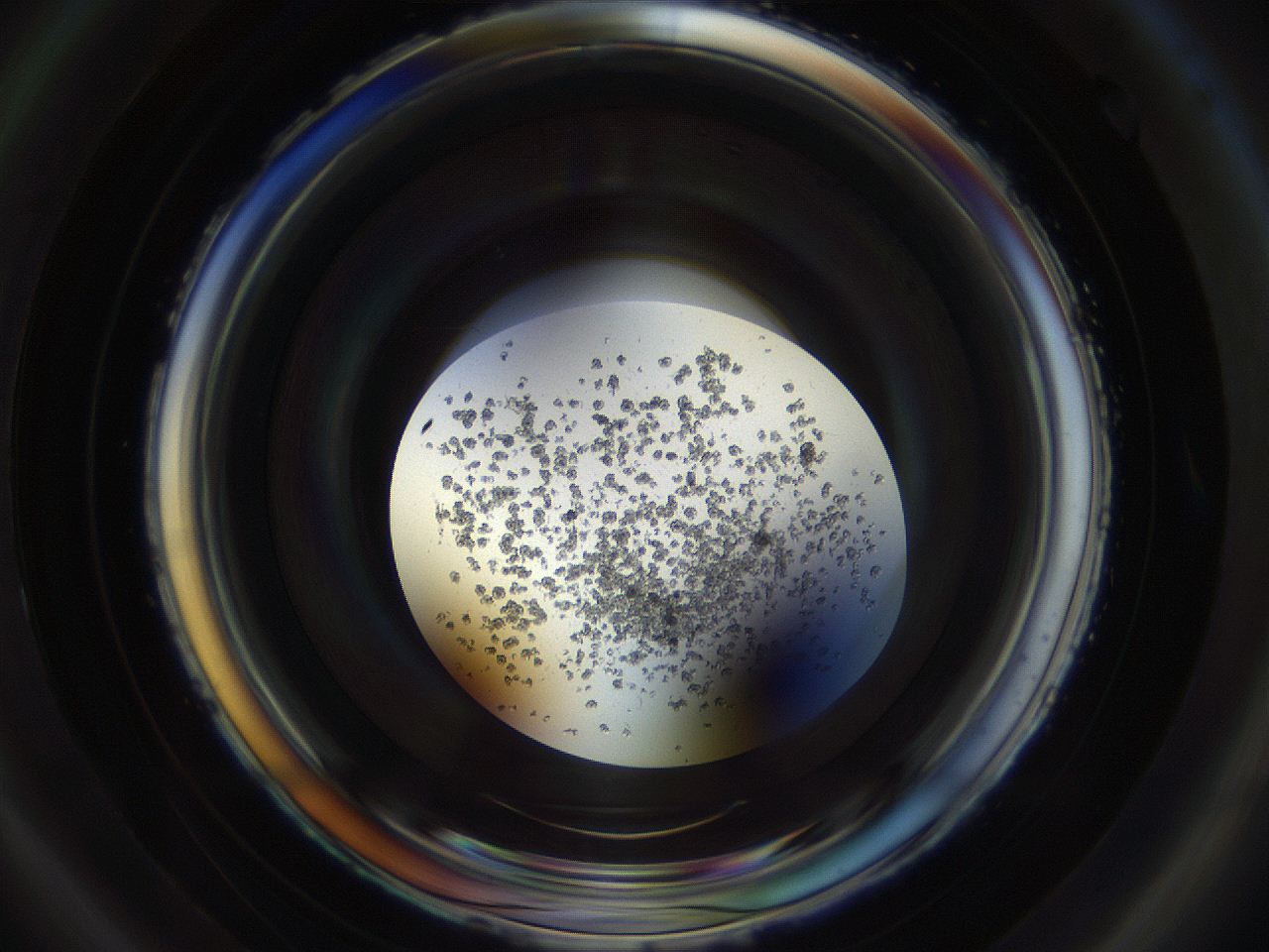 04s6_B2_ImagerDefaults_8.jpg