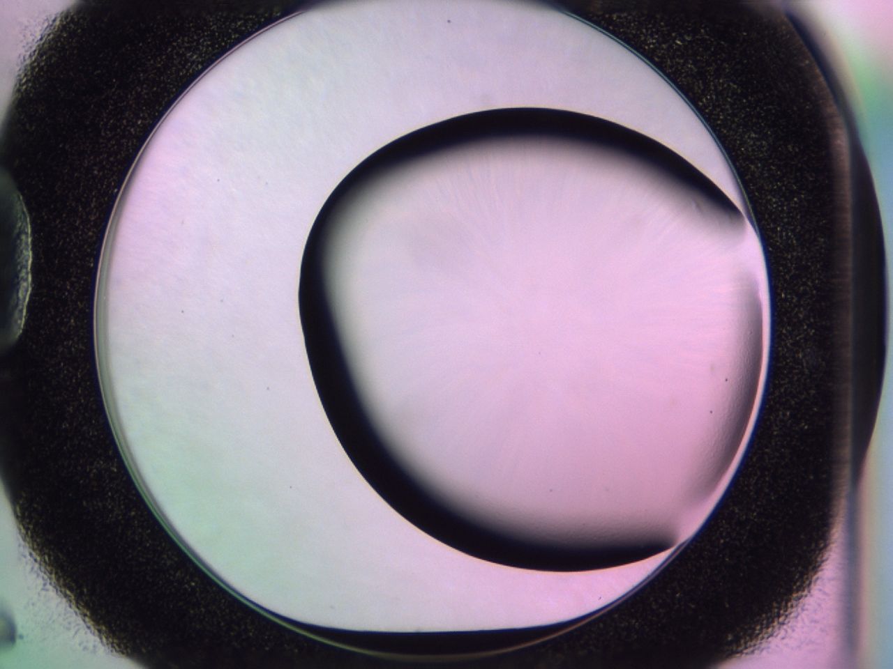01dd_D6_ImagerDefaults_0.jpg