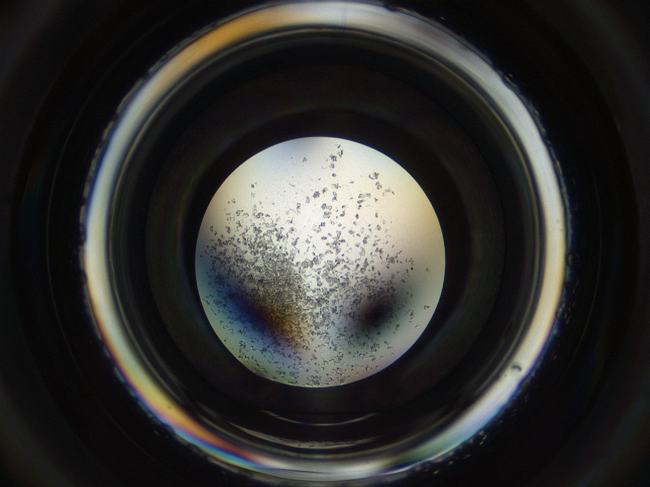 04sb_D2_ImagerDefaults_8.jpg