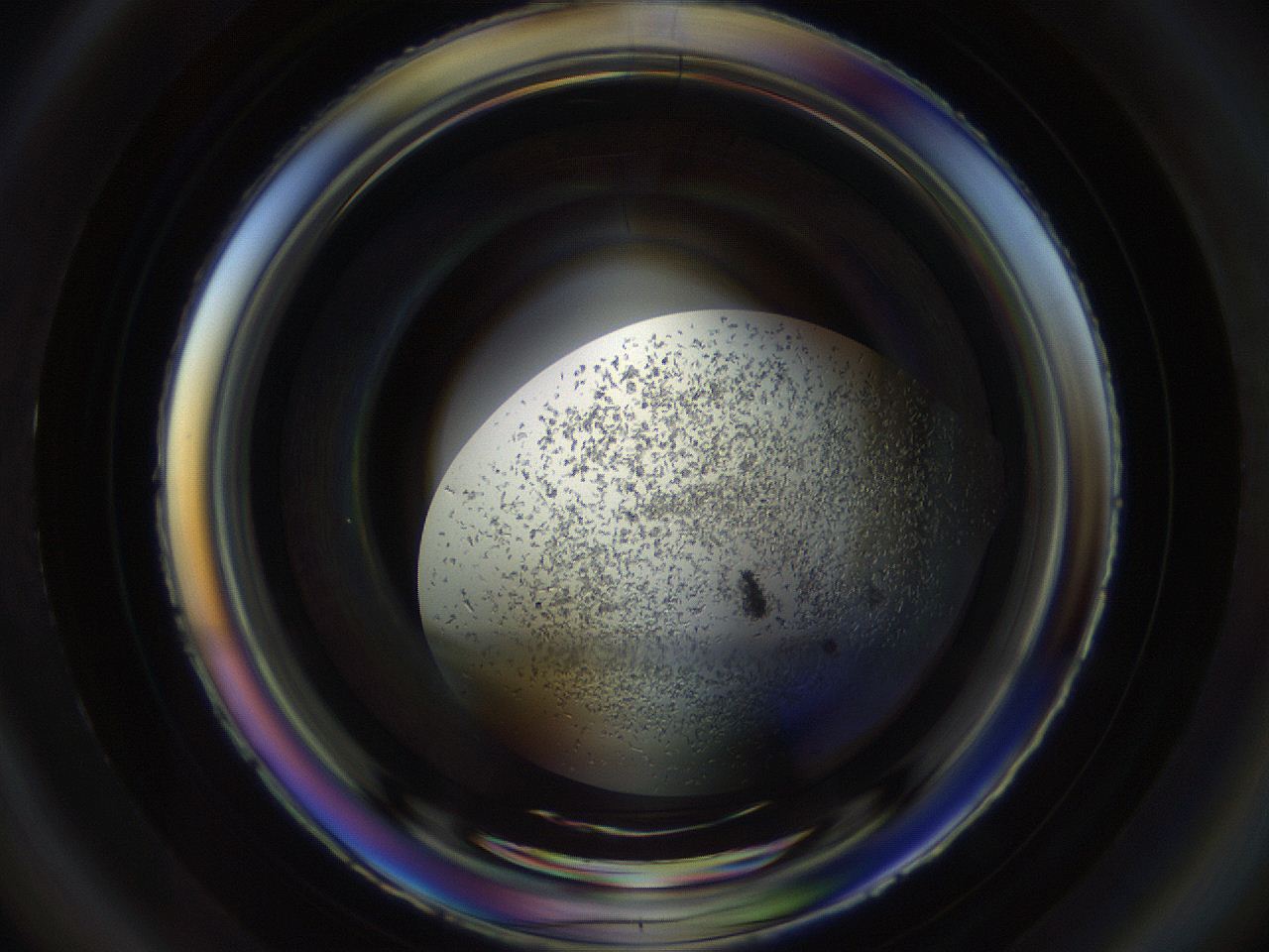 04sb_B5_ImagerDefaults_9.jpg