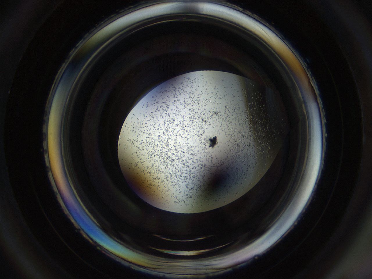 04sb_C1_ImagerDefaults_8.jpg