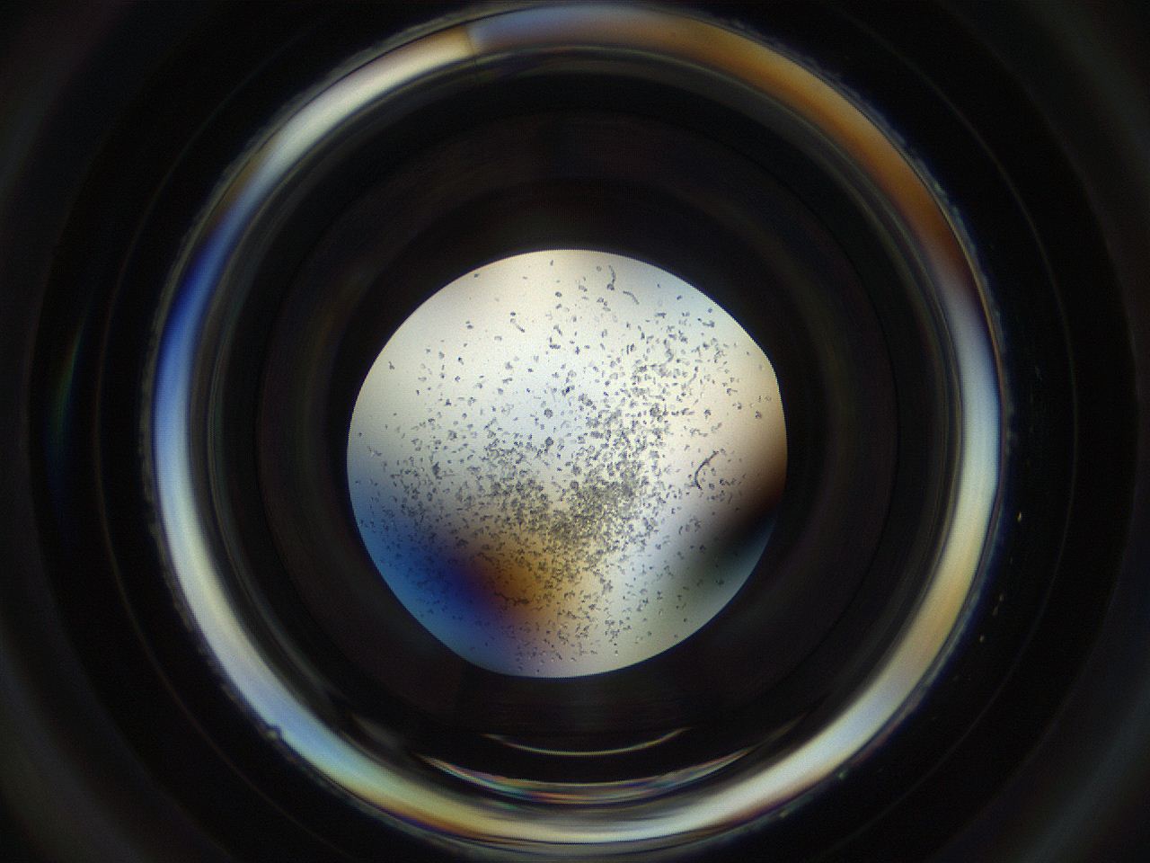 04sb_C3_ImagerDefaults_8.jpg