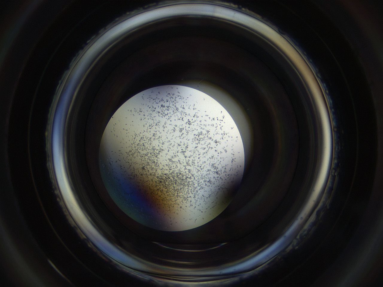 04sb_C4_ImagerDefaults_8.jpg