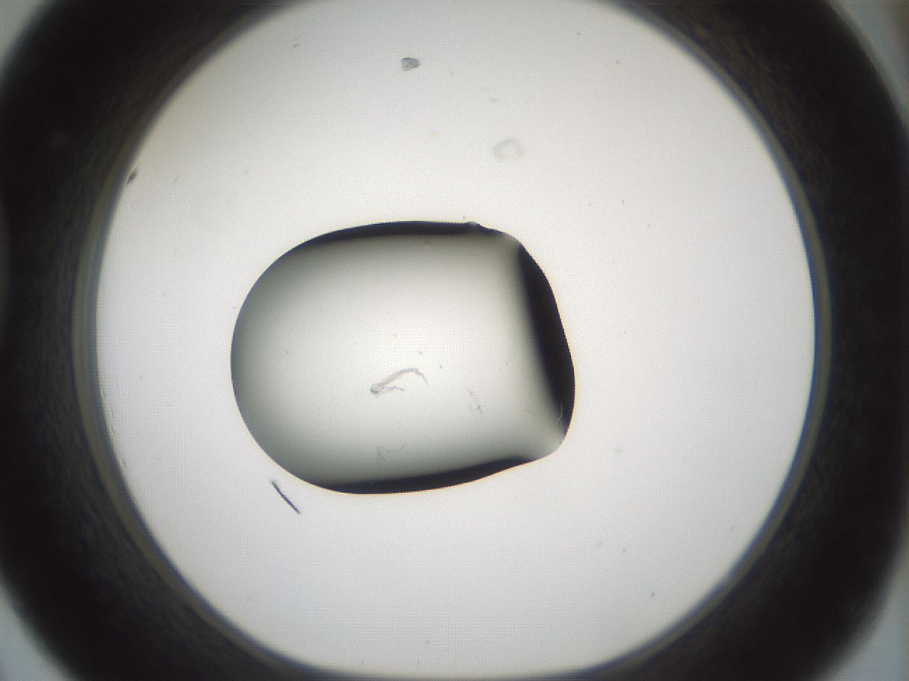 folderID240_plateID3240_batchID18309_wellNum44_profileID1_d1_r284889_ef.jpg