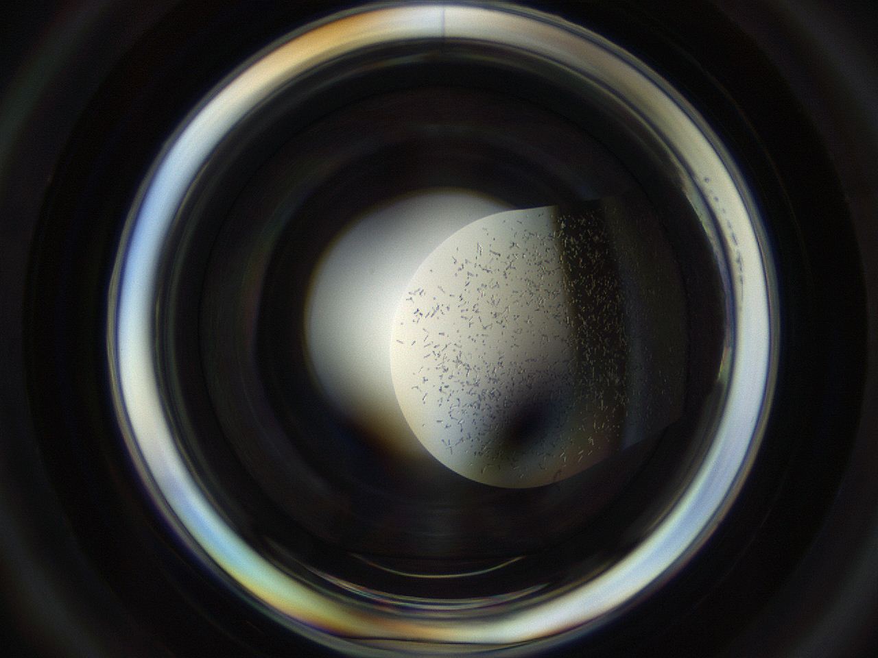 04ss_D6_ImagerDefaults_9.jpg