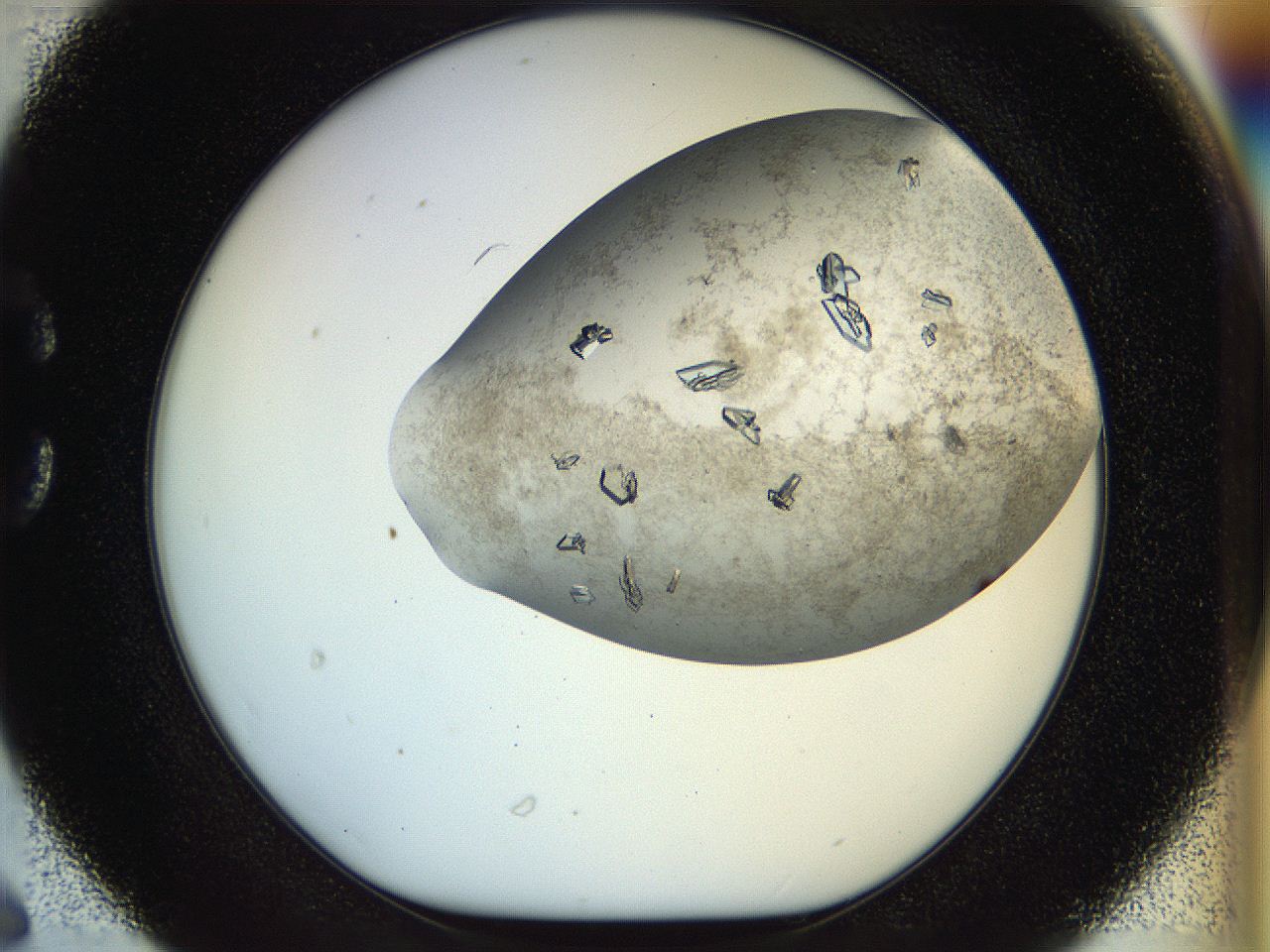 04sx_C6_ImagerDefaults_9.jpg
