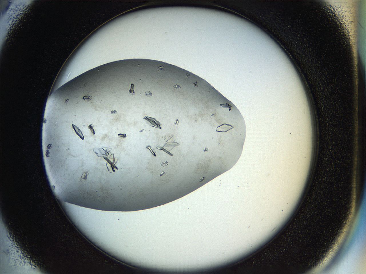04sx_C5_ImagerDefaults_9.jpg