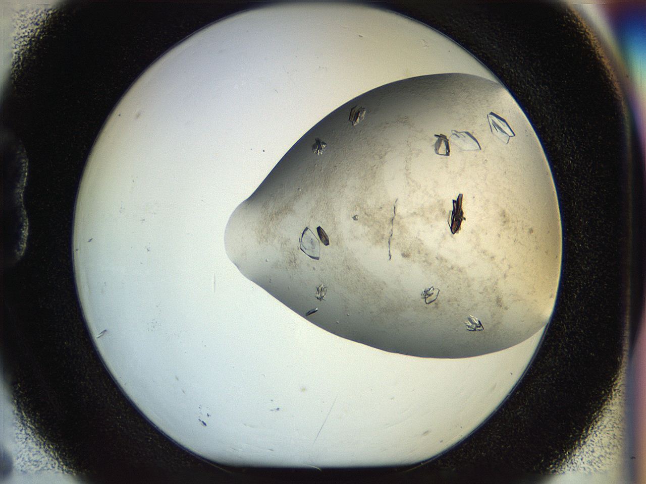 04sx_B6_ImagerDefaults_9.jpg