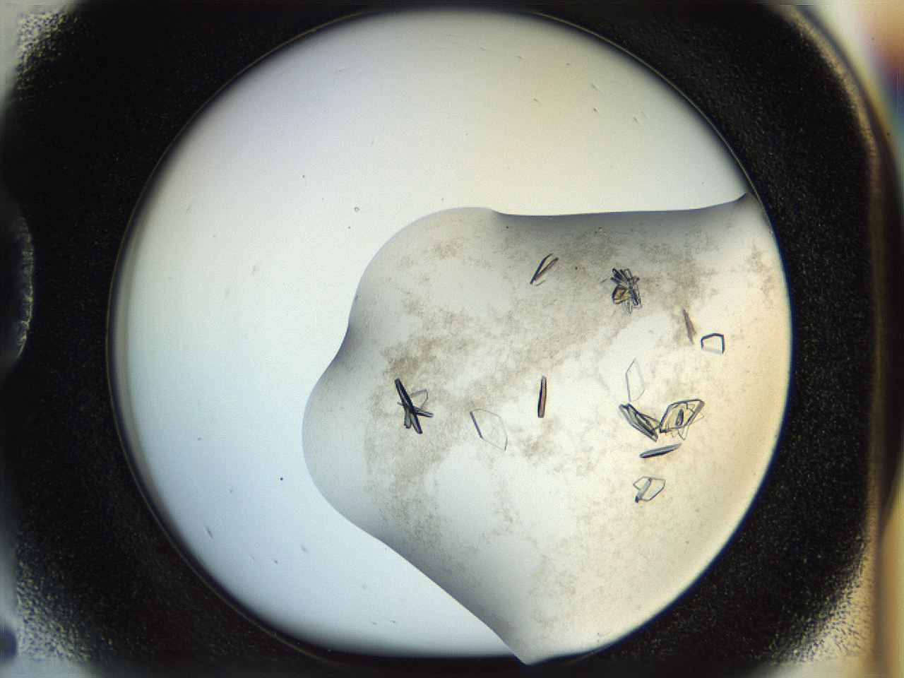 04sx_D5_ImagerDefaults_9.jpg