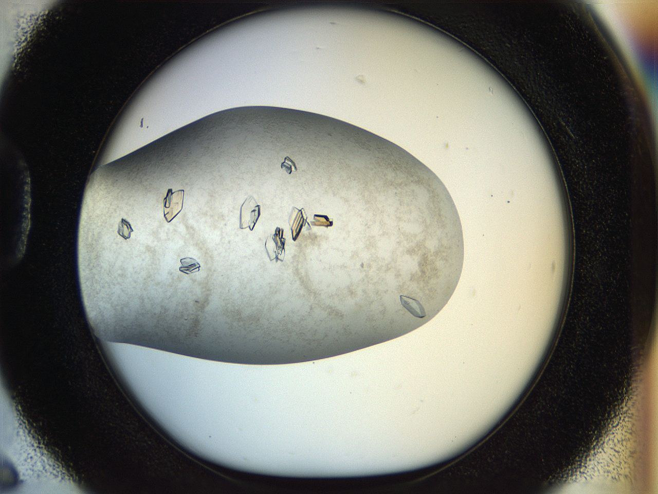 04sx_D6_ImagerDefaults_9.jpg