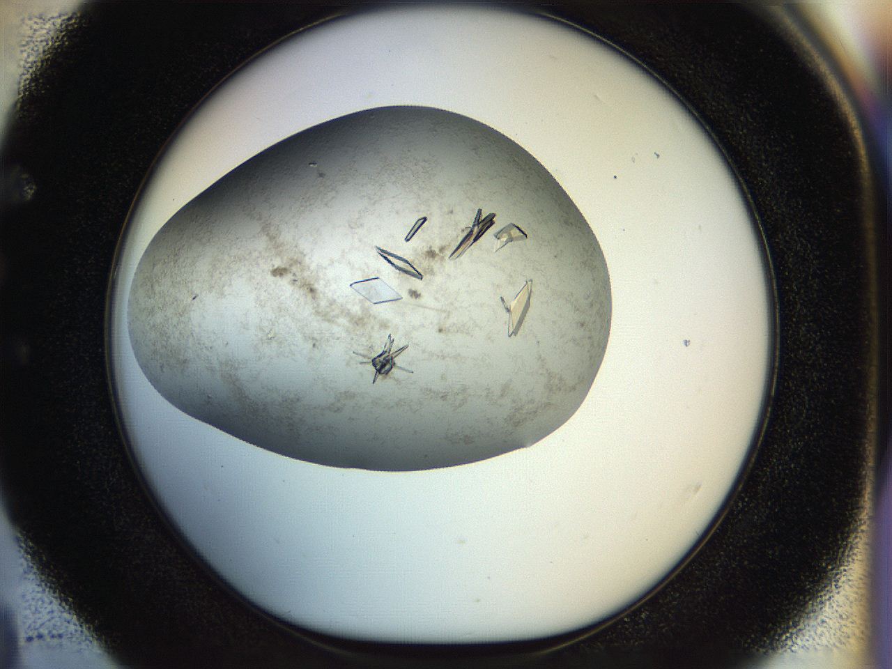 04sx_E4_ImagerDefaults_9.jpg