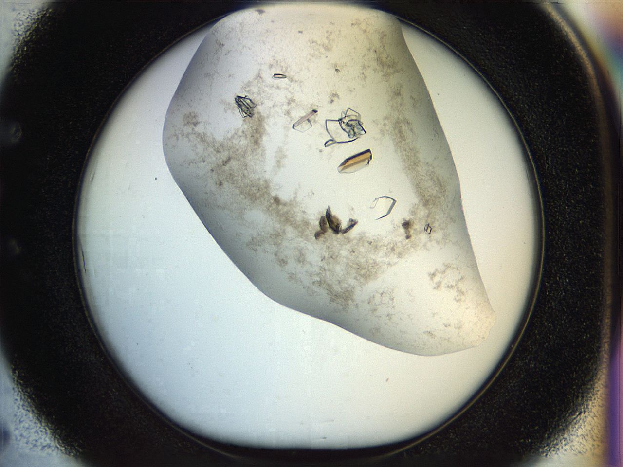 04sx_E5_ImagerDefaults_9.jpg