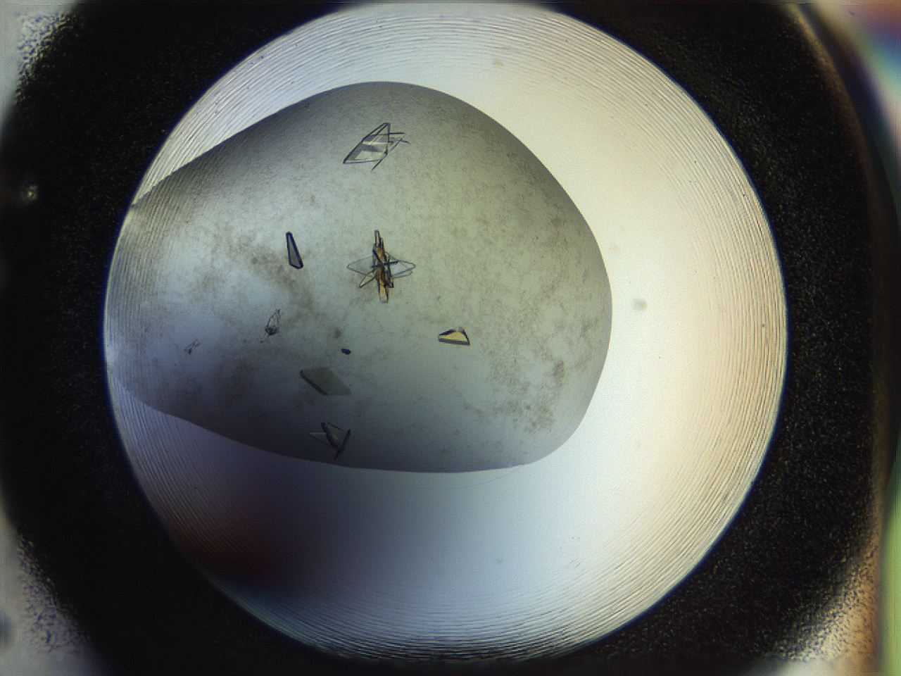 04sx_F5_ImagerDefaults_9.jpg