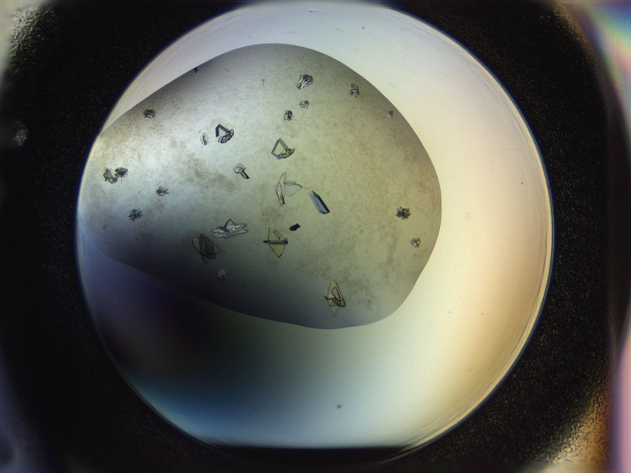 04sx_F6_ImagerDefaults_9.jpg