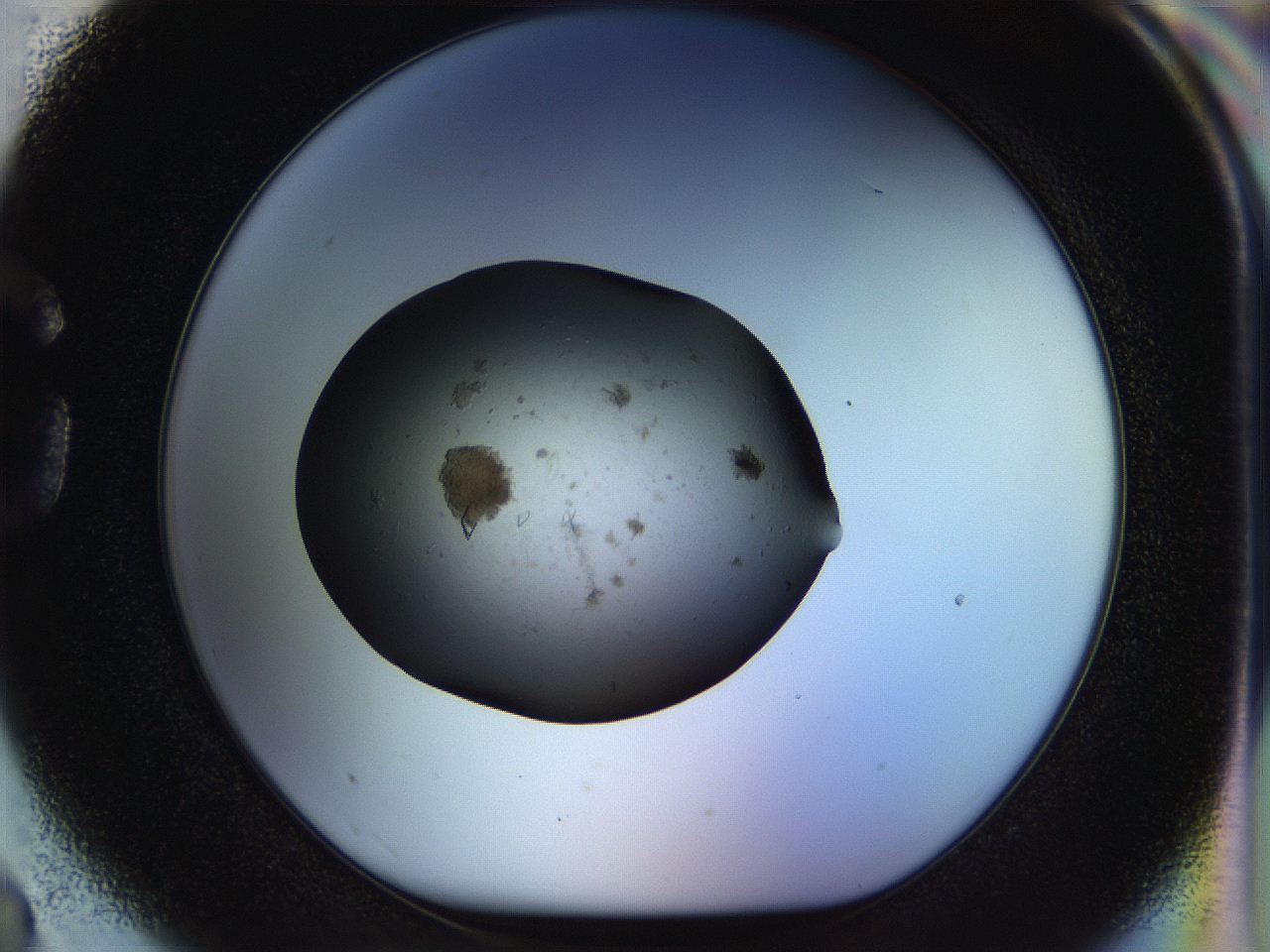 04sx_G3_ImagerDefaults_8.jpg