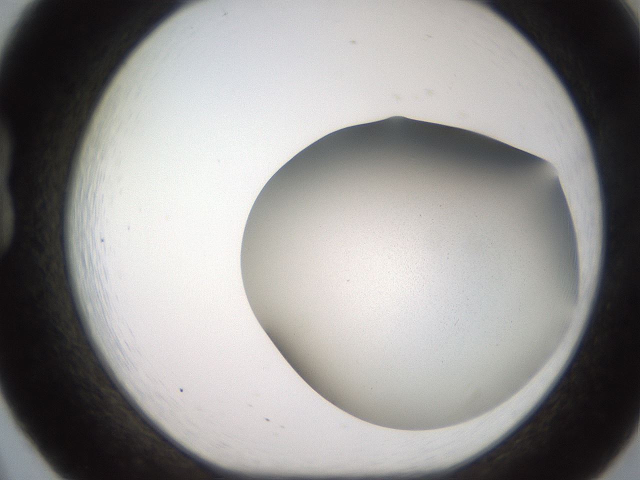 folderID242_plateID2242_batchID10123_wellNum20_profileID1_d1_r154789_ef.jpg