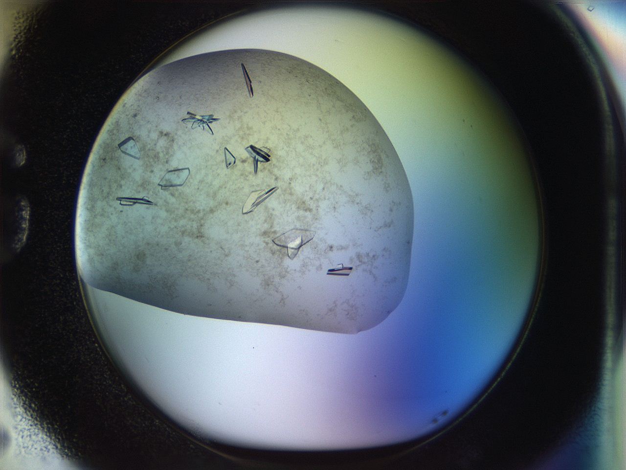04sx_G5_ImagerDefaults_9.jpg