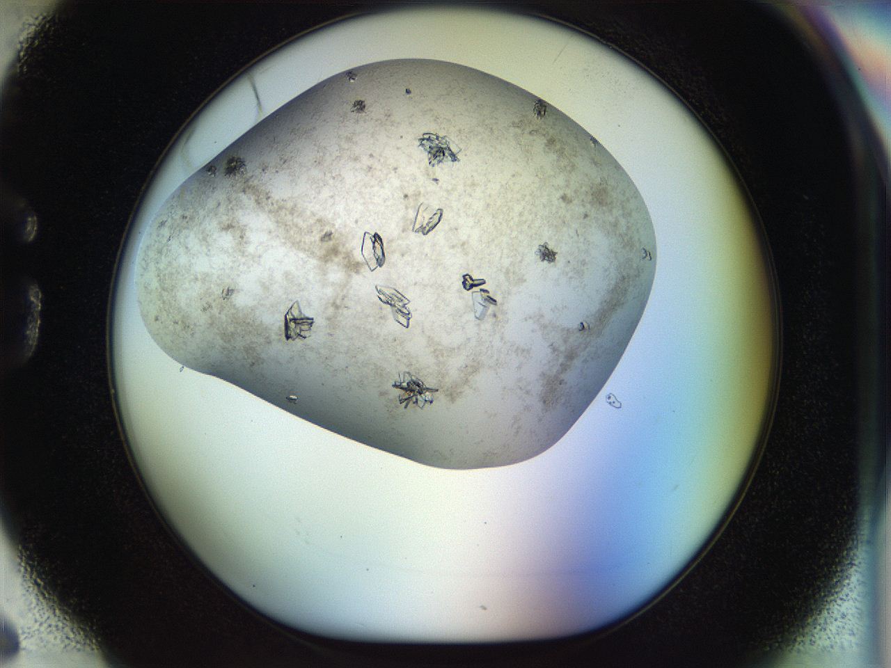 04sx_G6_ImagerDefaults_9.jpg