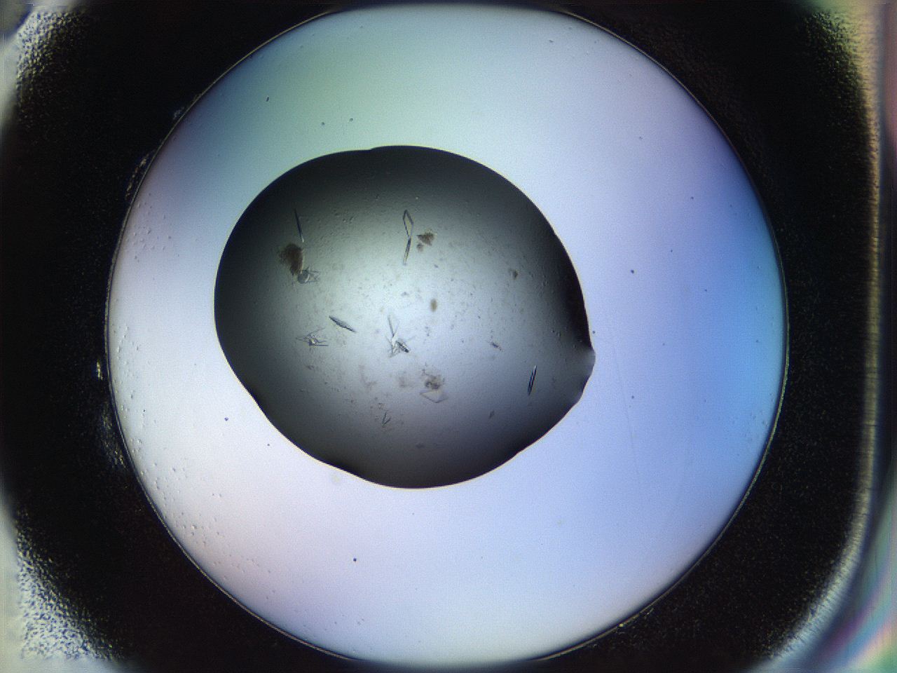 04sx_H3_ImagerDefaults_9.jpg