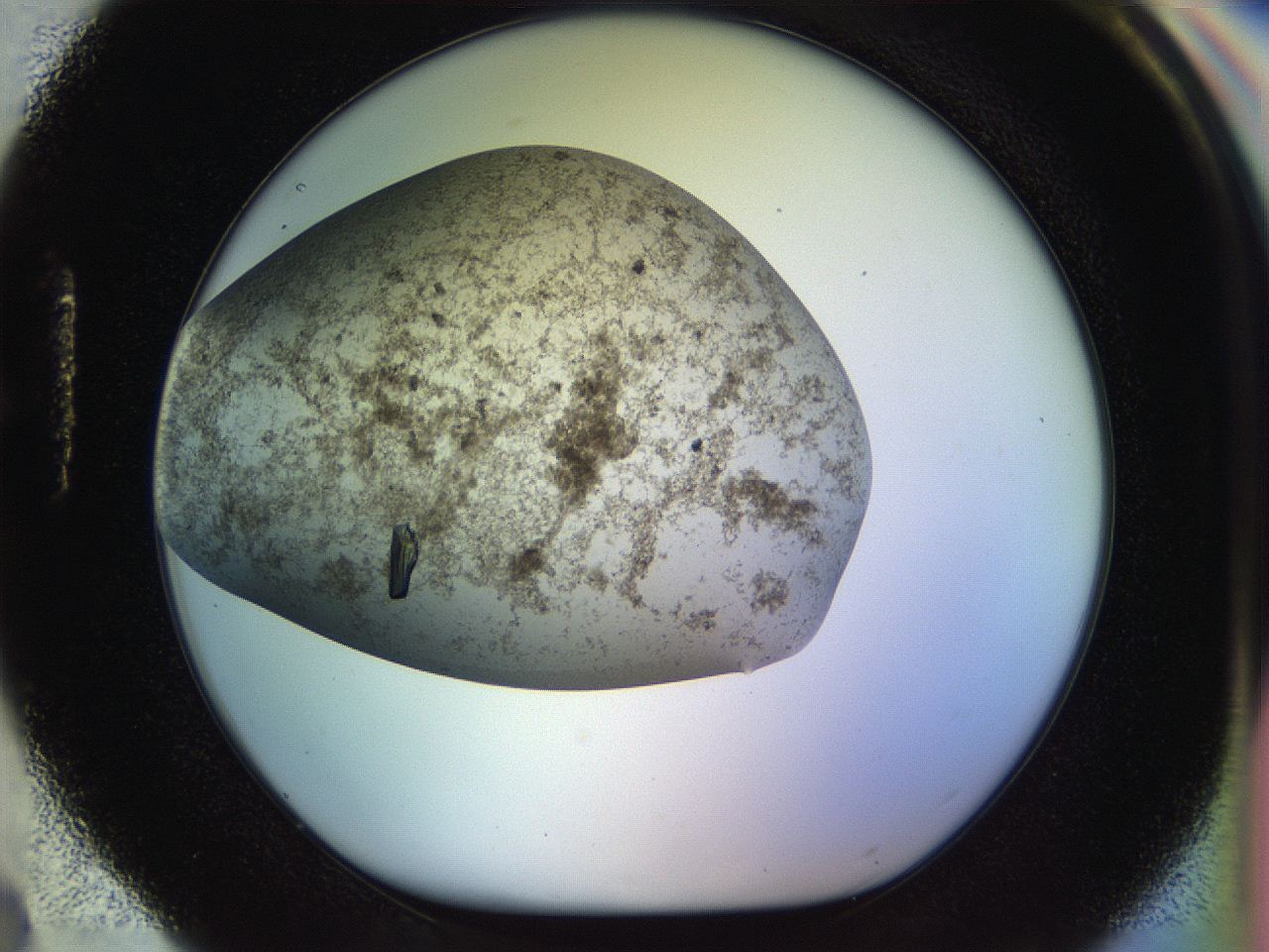 04sx_H4_ImagerDefaults_8.jpg