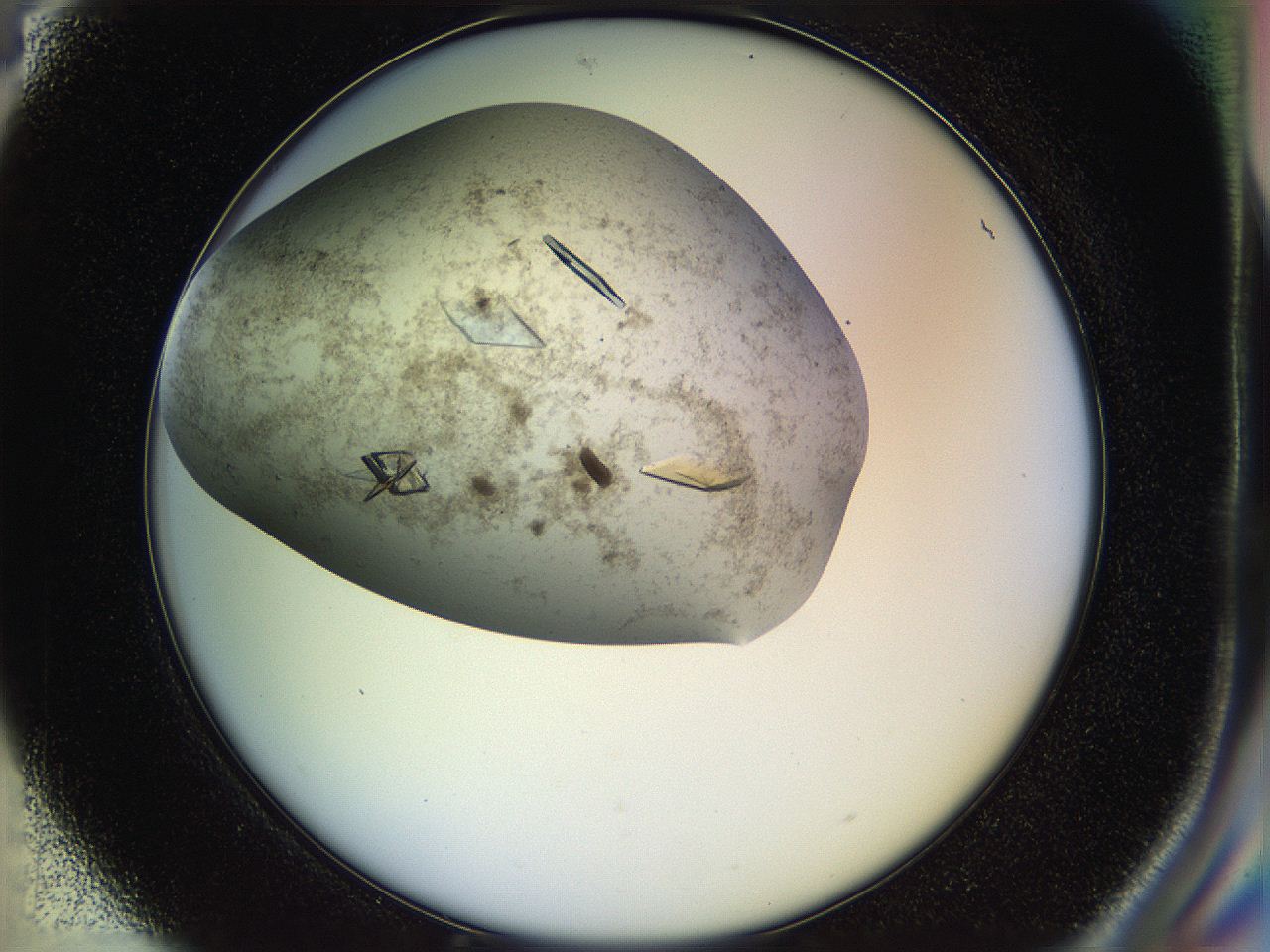04sx_H4_ImagerDefaults_9.jpg