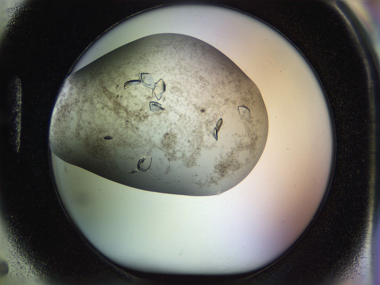 04sx_H5_ImagerDefaults_9.jpg