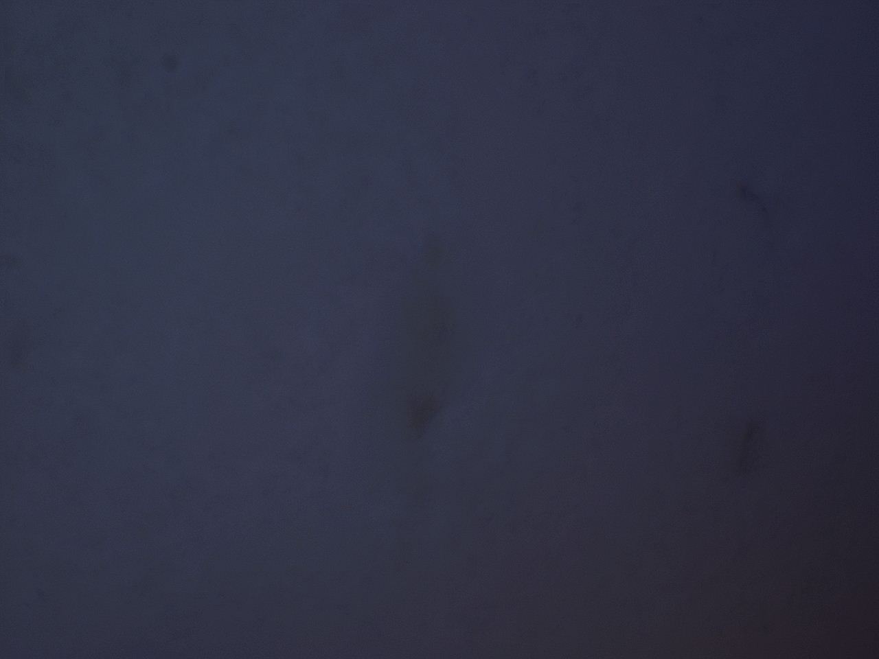 04sy_F8_ImagerDefaults_8.jpg