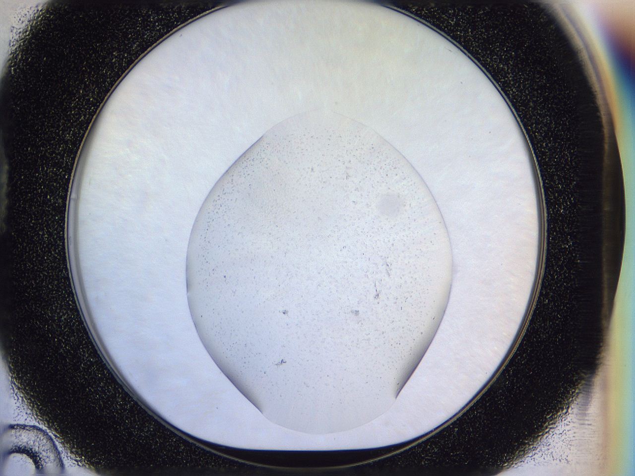 04sy_D10_ImagerDefaults_6.jpg