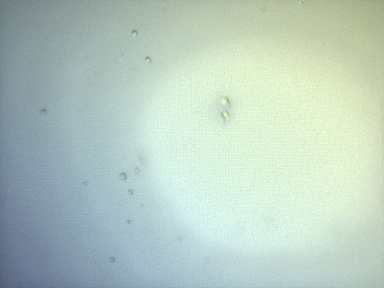 04sz_F5_ImagerDefaults_9.jpg