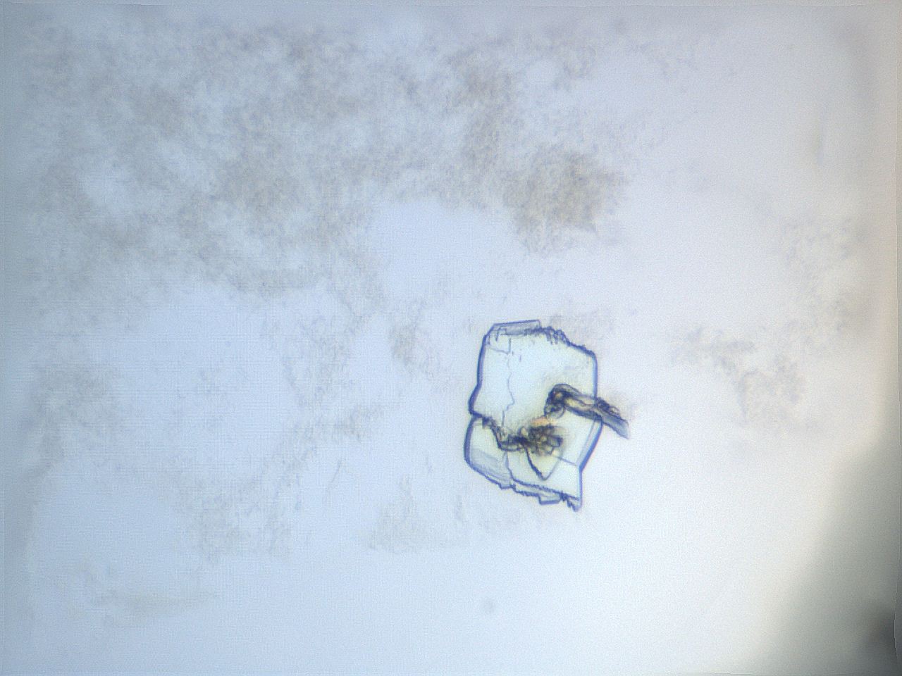 04sz_D12_ImagerDefaults_9.jpg