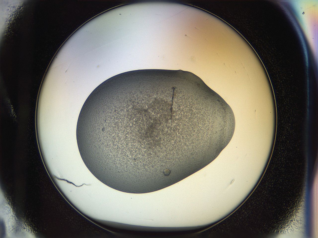 04sz_A4_ImagerDefaults_8.jpg