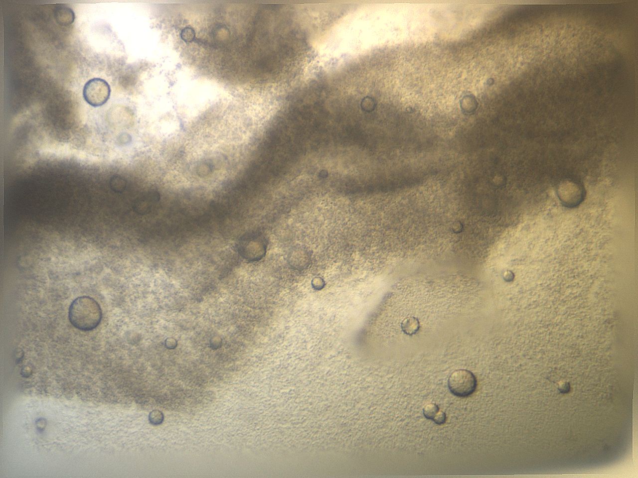 04sz_G12_ImagerDefaults_9.jpg