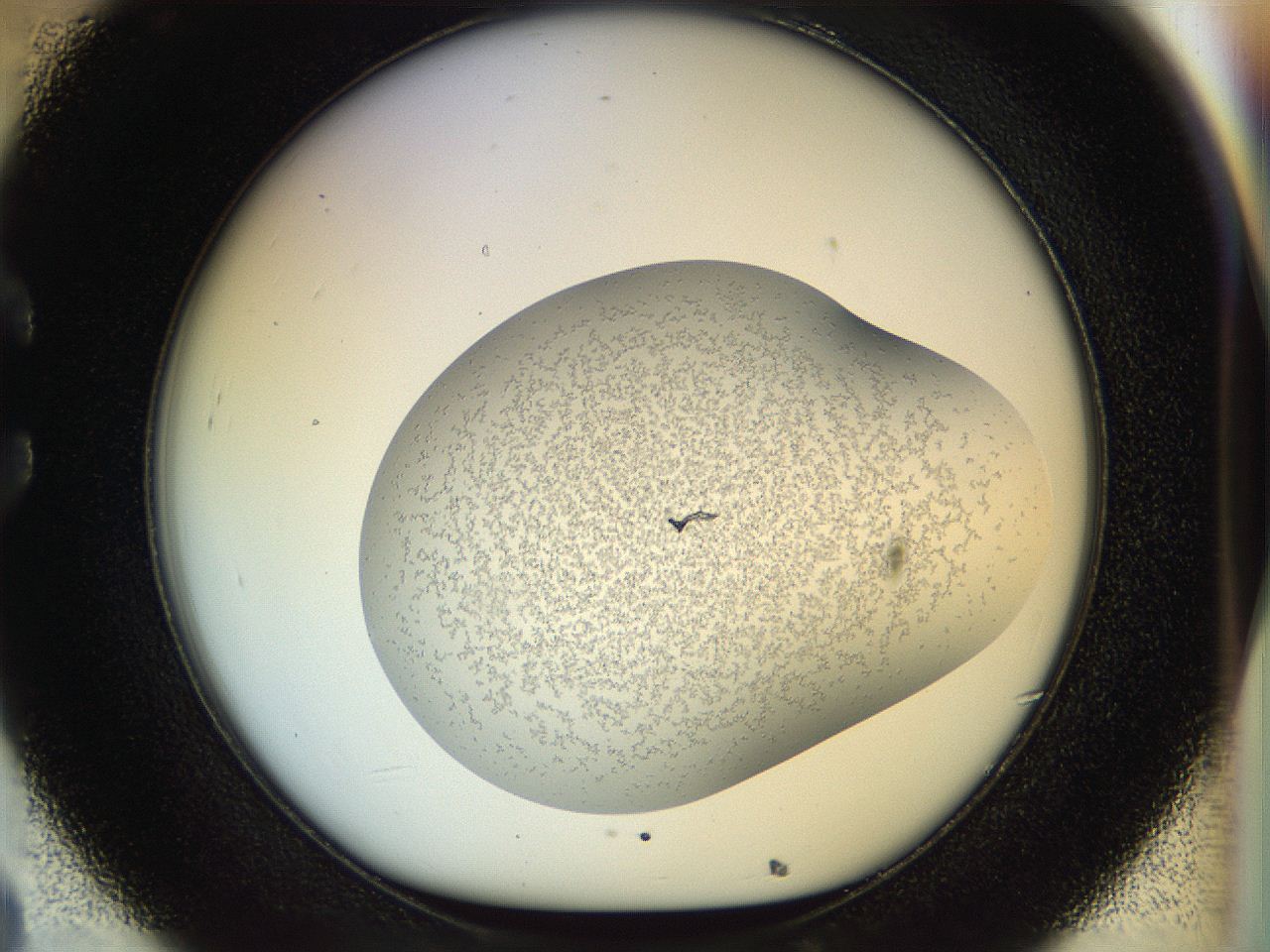 04sz_C8_ImagerDefaults_6.jpg