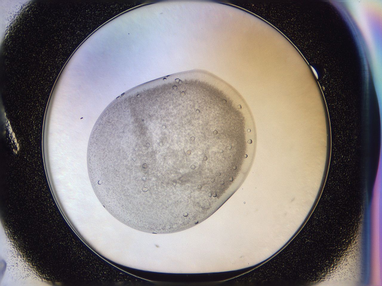 04t0_A7_ImagerDefaults_9.jpg