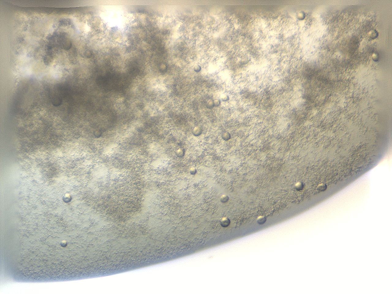 04t1_E9_ImagerDefaults_9.jpg