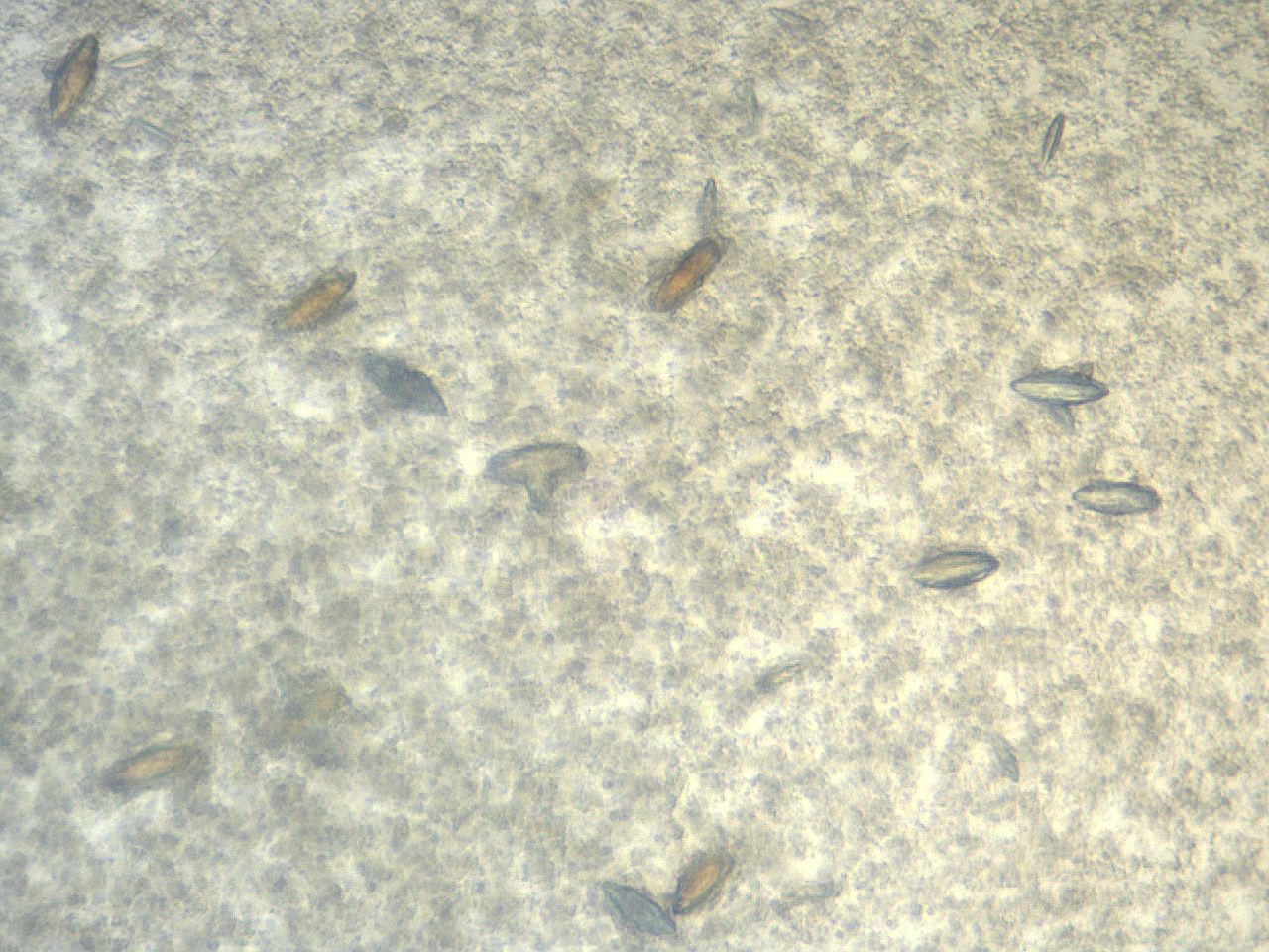 04t1_A11_ImagerDefaults_9.jpg