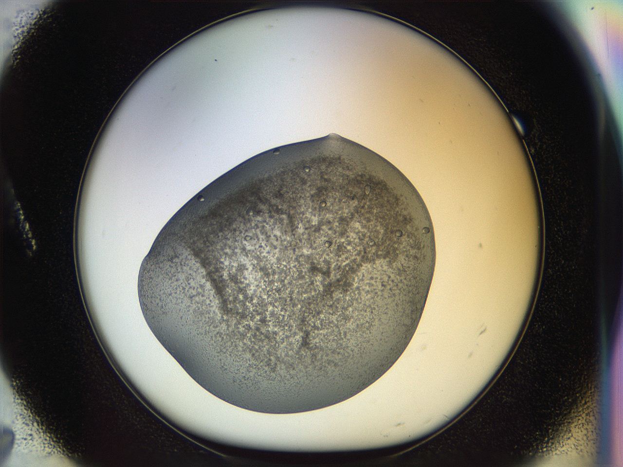 04t1_A7_ImagerDefaults_9.jpg