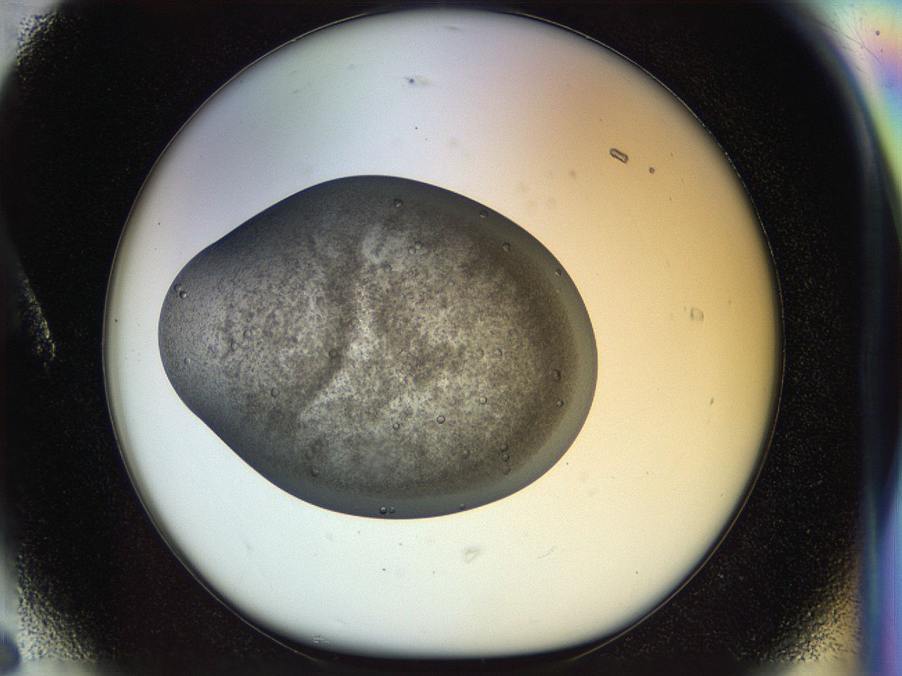 04t1_A6_ImagerDefaults_9.jpg