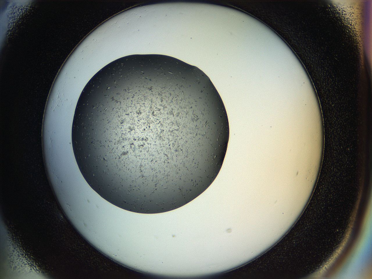 04td_E5_ImagerDefaults_9.jpg
