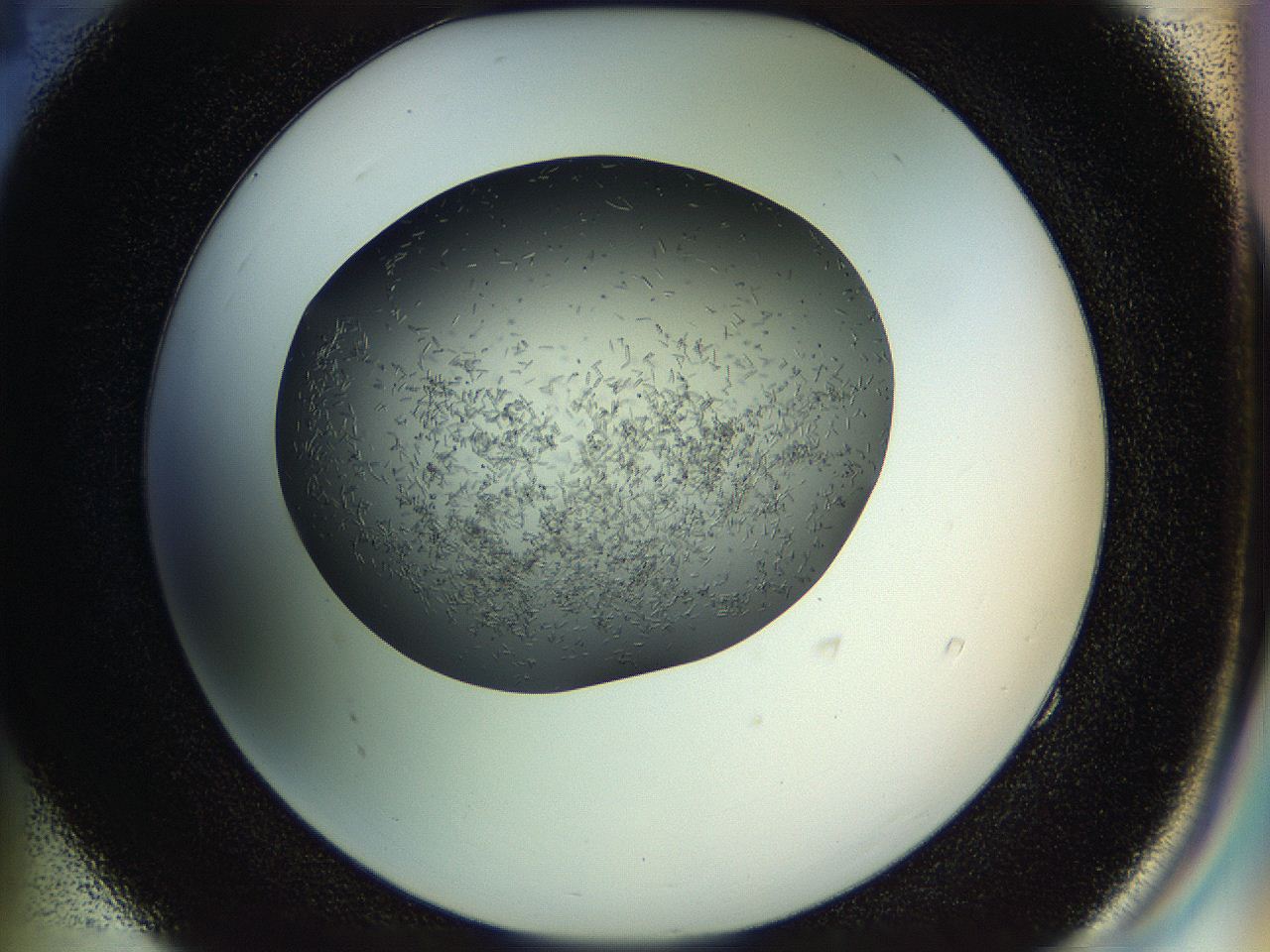 04td_E4_ImagerDefaults_6.jpg