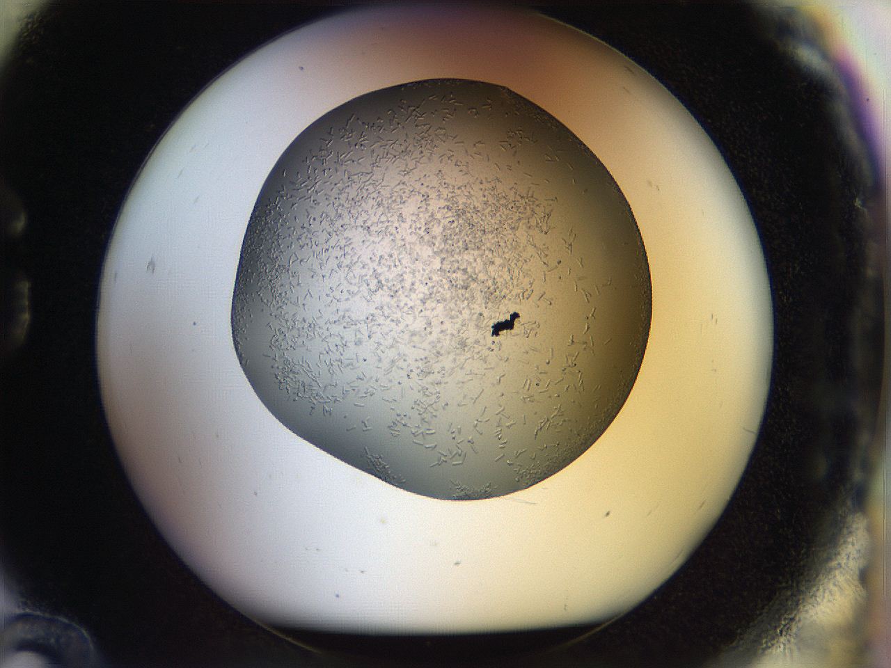 04tg_G12_ImagerDefaults_9.jpg