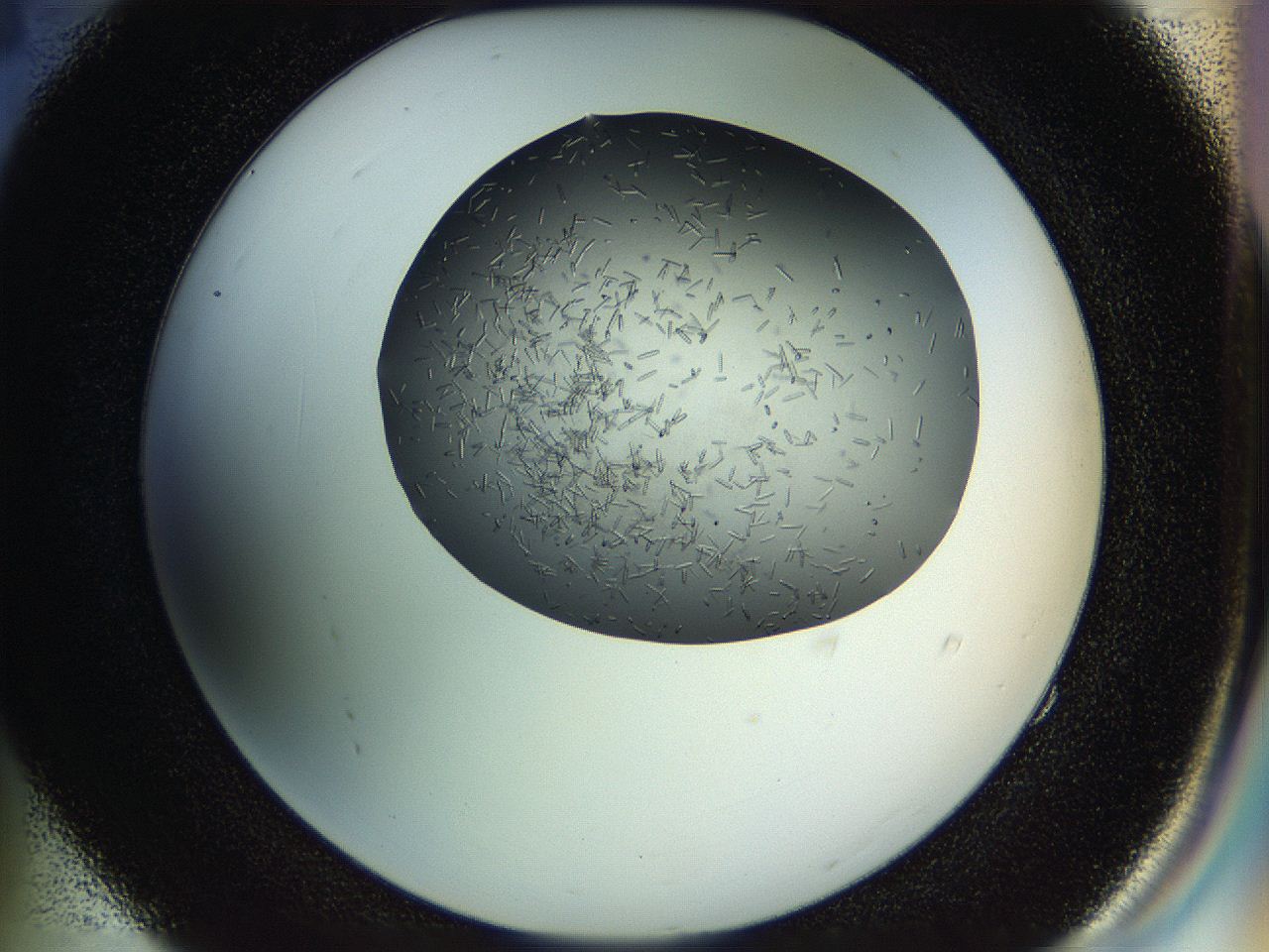 04tg_E4_ImagerDefaults_9.jpg