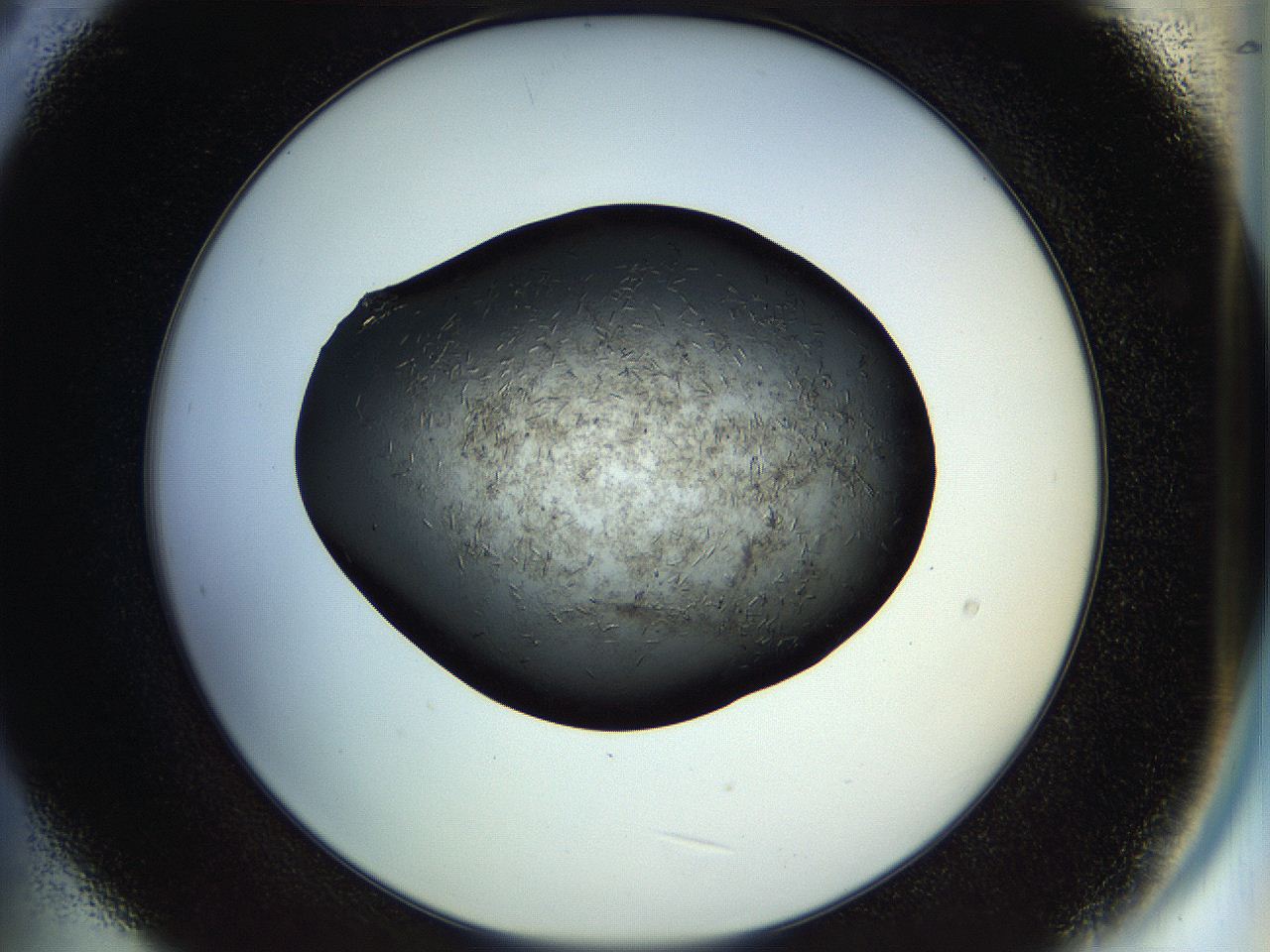 04tg_B9_ImagerDefaults_9.jpg