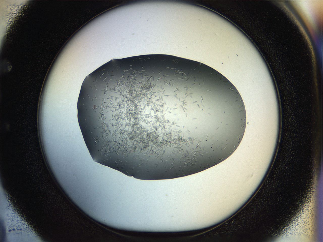 04tg_E4_ImagerDefaults_6.jpg
