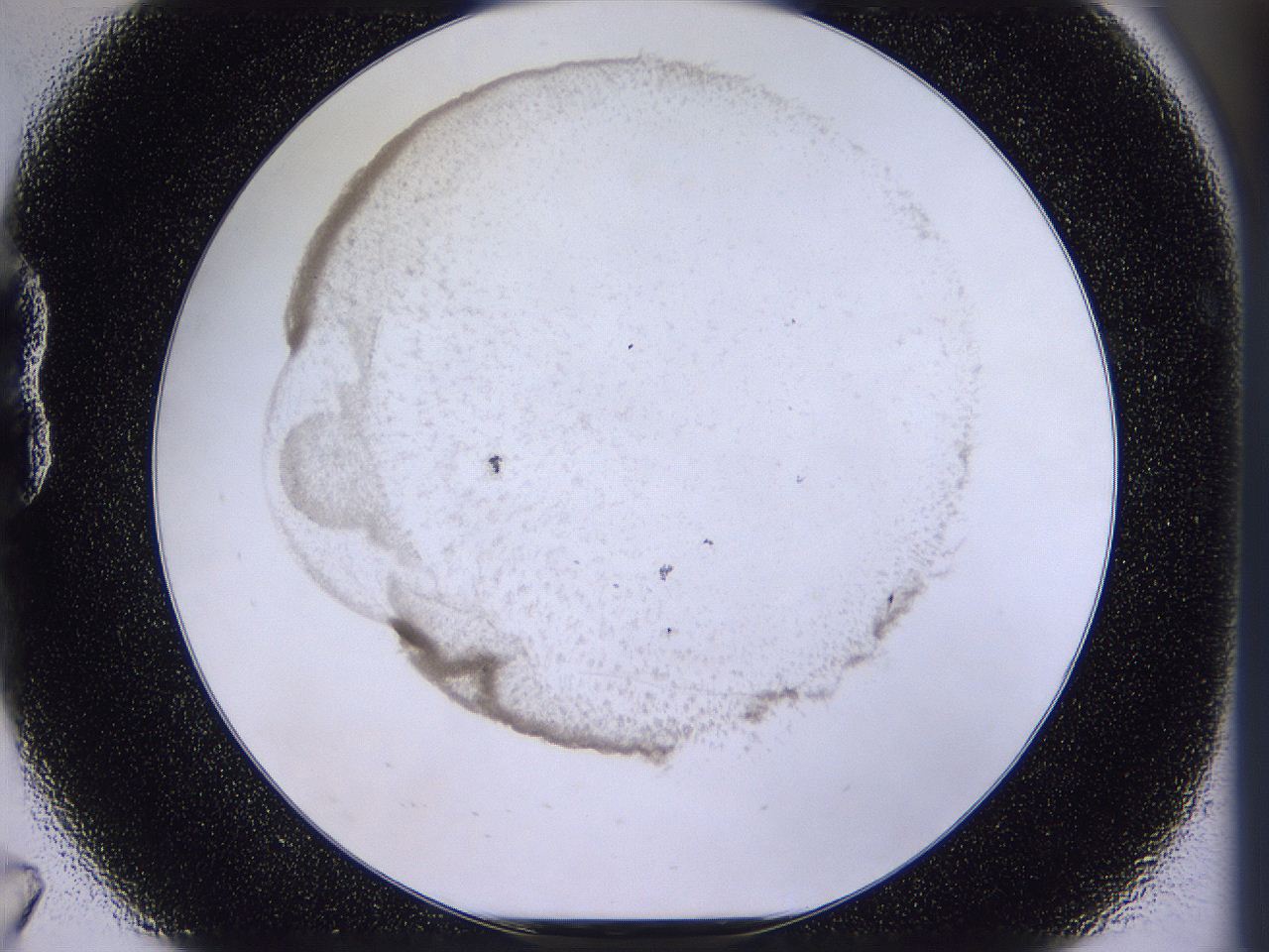 04u3_B7_ImagerDefaults_2.jpg